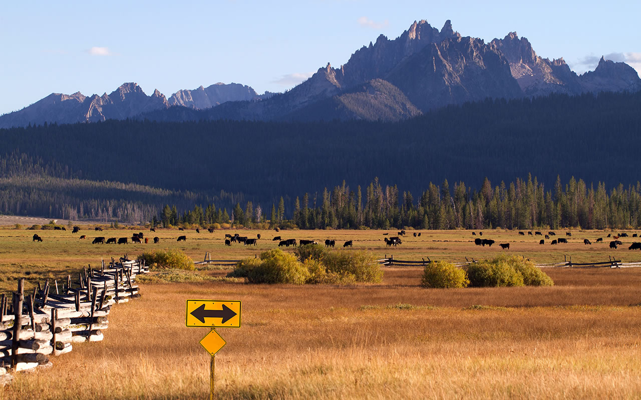 Range land in Sawtooth Mountains, Stanley, Idaho