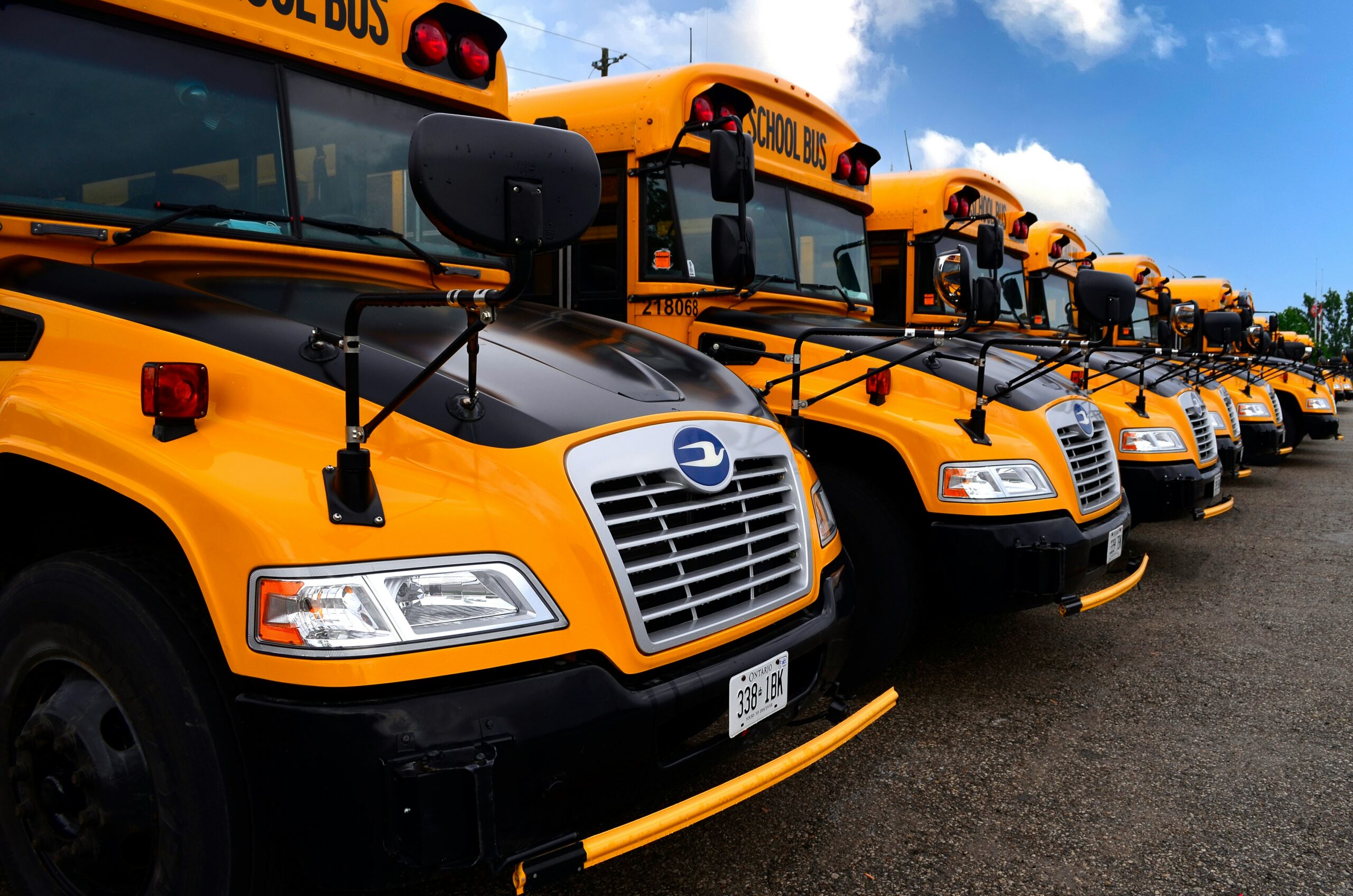 line of school buses